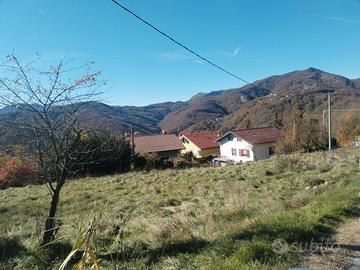 Terreno agricolo