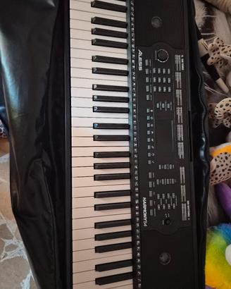 tastiera  portatile Alesis Harmony 54