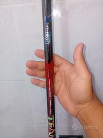 Canne da pesca daiwa