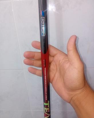 Canne da pesca daiwa