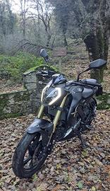 Keeway Rkf 125