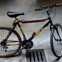 Bicicletta Mountain Bike