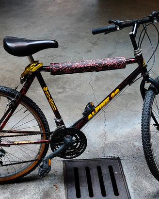 Bicicletta Mountain Bike