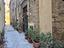 Immagine 8