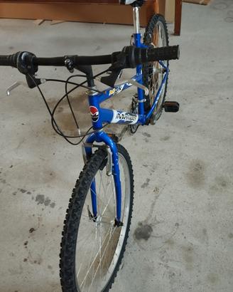 bici mtb