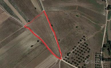 Terreno agricolo comune serdiana