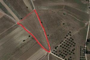 Terreno agricolo comune serdiana