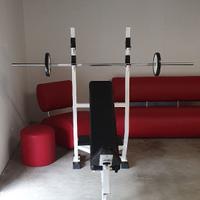Panatta sport Panca inclinata professionale Techno
