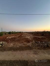 Terreno agricolo 50aree circa 4500