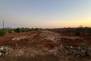 Terreno agricolo 50aree circa 4500