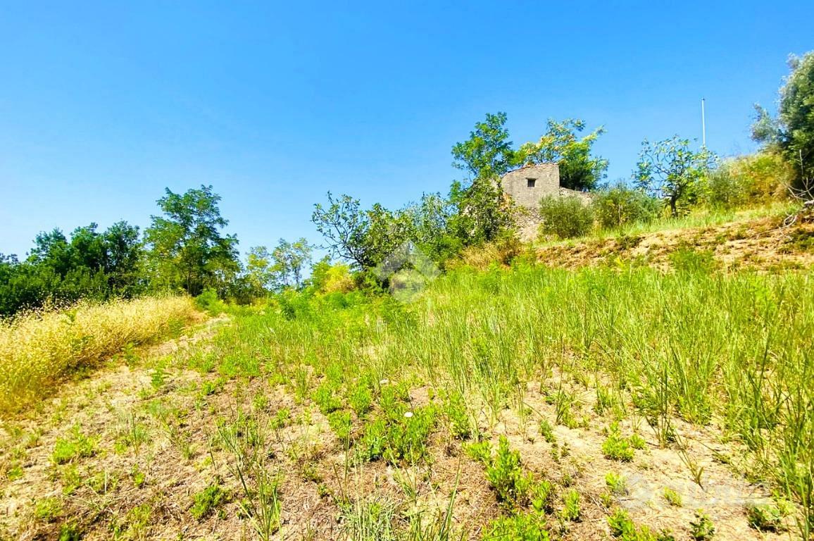 RUSTICO A FALCONARA ALBANESE - Vista 5