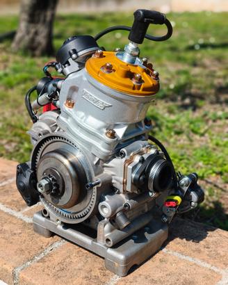 Motore mono marcia 125 Vortex ROK GP, Tony Kart