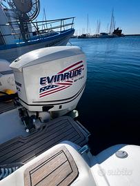Evinrude e-tec 150