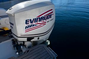 Evinrude e-tec 150