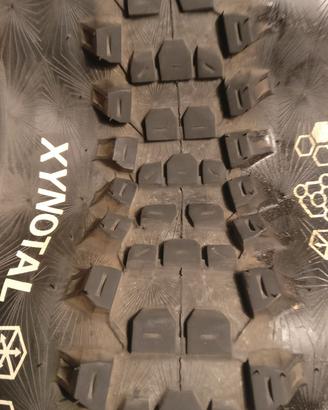 Continental Xynotal 27.5x2.6 
