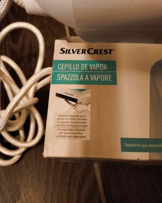 Spazzola/ Ferro da stiro a vapore