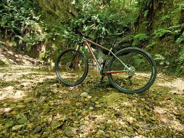 Specialized crave expert 29 taglia M, trattabile