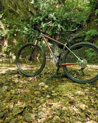 Specialized crave expert 29 taglia M, trattabile