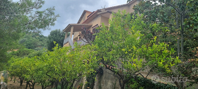 Villa a Pioppi nel Cilento