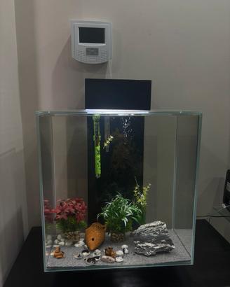 Acquario