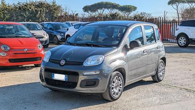 FIAT Panda GPL 1.2cc 69cv
