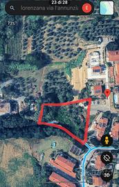 Terreno edificabile a Lorenzana Pisa