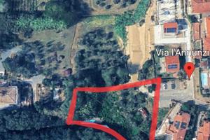Terreno edificabile a Lorenzana Pisa