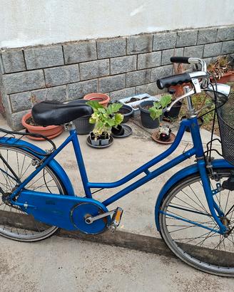 bicicletta
