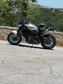 Mt 07 2026