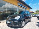 fiat-panda-1-0-firefly-s-s-hybrid-city-life