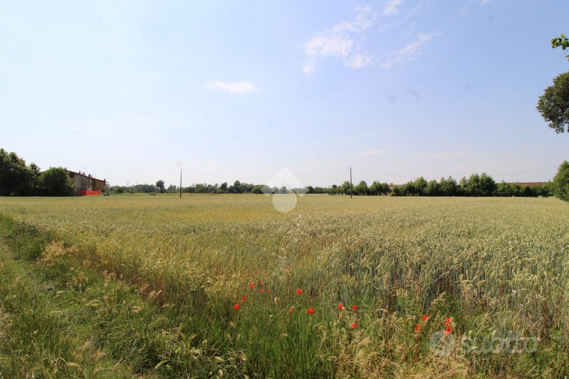 TER. AGRICOLO A URAGO D'OGLIO - Vista 3