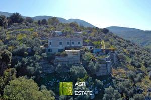 Tenuta agricola di 7 HA con casale di 240 mq