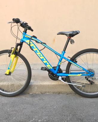 Bicicletta per ragazzo