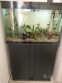 Acquario 180-200 litri