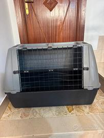 Trasportino per cani rigido da auto - 86 × 48 ×
60
