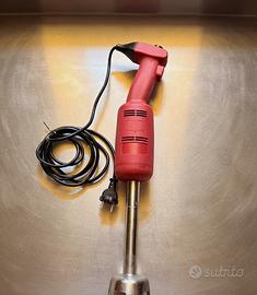 Frullatore ad immersione RGV 220v