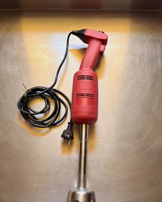 Frullatore ad immersione RGV 220v