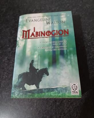Libro "I Mabinogion" - genere fantasy