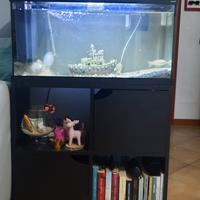 acquario con mobiletto 