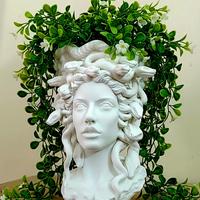 Medusa portafiori
