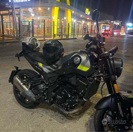 Splendida benelli