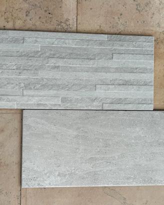 Gres porcellanato 20x50