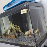 acquario 80lt