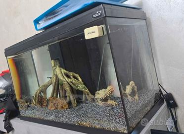 acquario 80lt