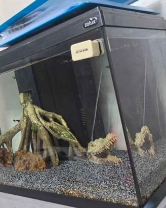 acquario 80lt