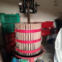 Pigia-diraspatrice e torchio da 60