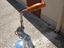 Immagine 6