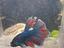 Immagine 1