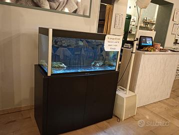 Acquario per astici, aragoste