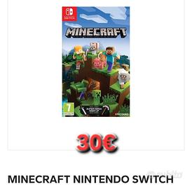 Minecraft Nintendo switch 